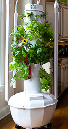 Tower Garden Juice Plus Review: Is it Worth the Money?